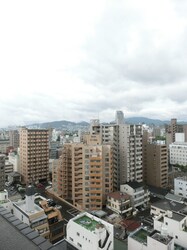 土橋駅 徒歩3分 4階の物件内観写真